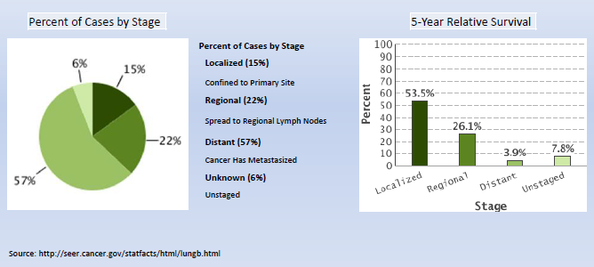Percent of cases by stage