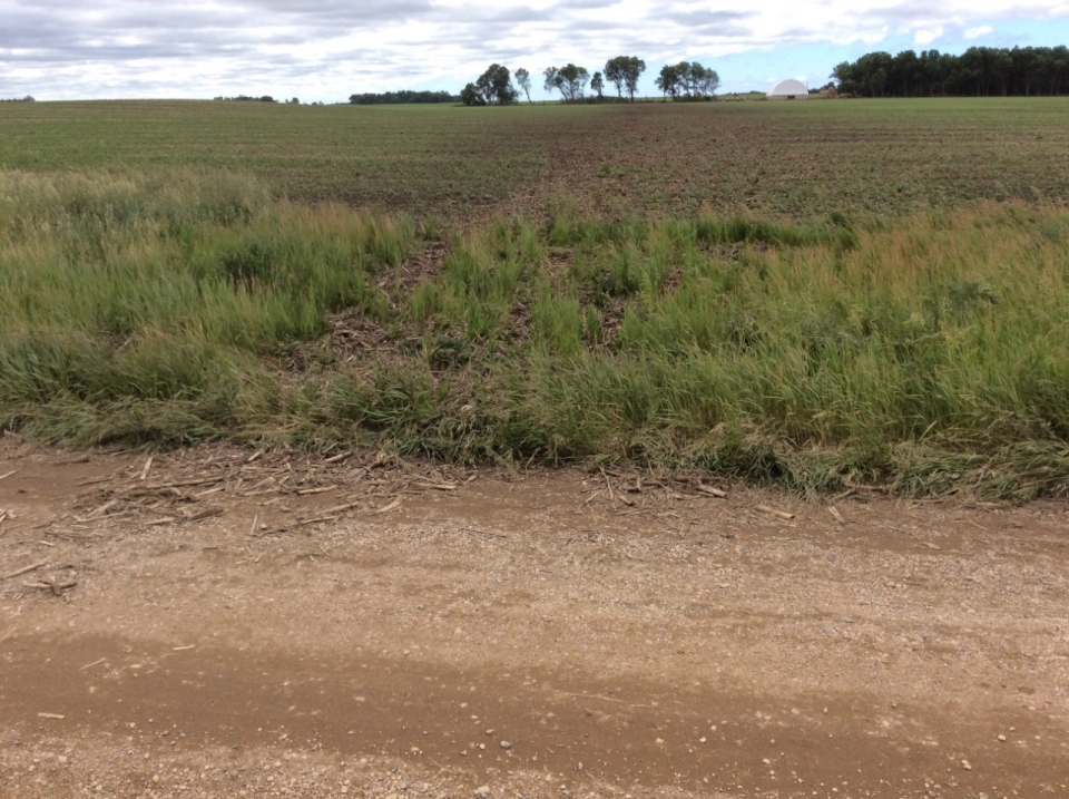 Tornado path across a field (NWS Damage Survey)