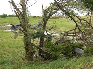 Debris wrapped around a tree. Photo by NWS Staff. 