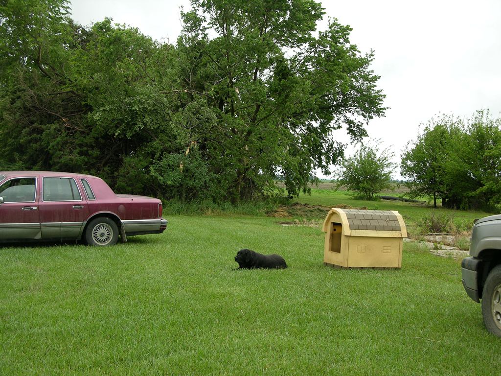 Picture of damage from EF3 Polk Tornado. Photo by NWS staff.
