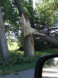 South end of East Street in Wood River. Photo by Georgene Smidt.