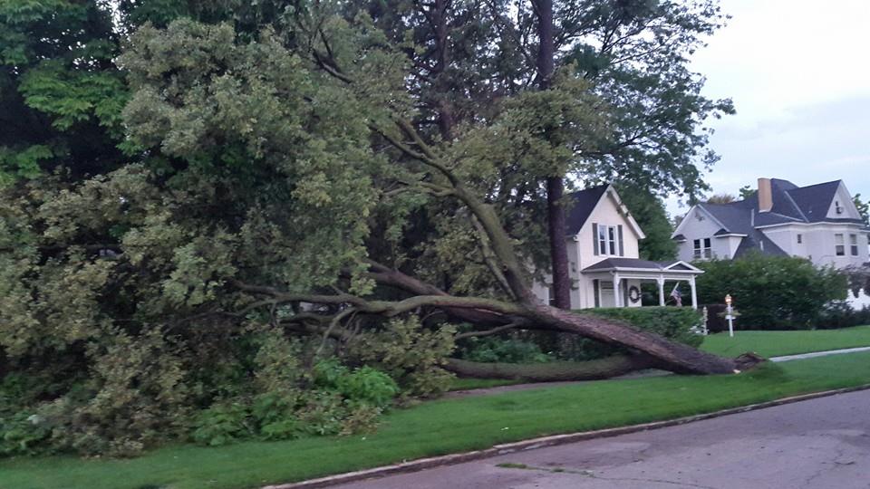 Additional Wind Damage from a Severe Storm.(Photo Courtesy of Eric Mortimore)