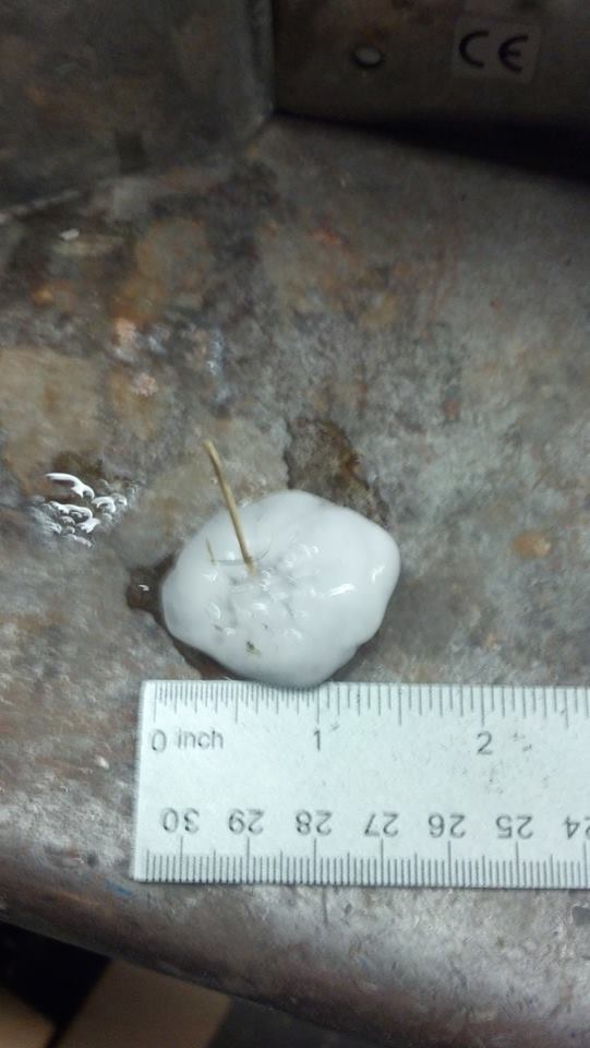 Half Dollar Sized Hail in Lexington Submitted Jared Woody.