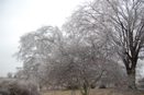 Logan County