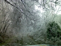Smiths Grove, Kentucky