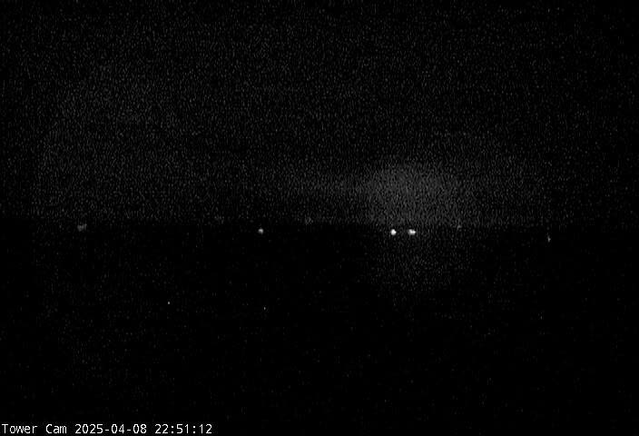tower cam images