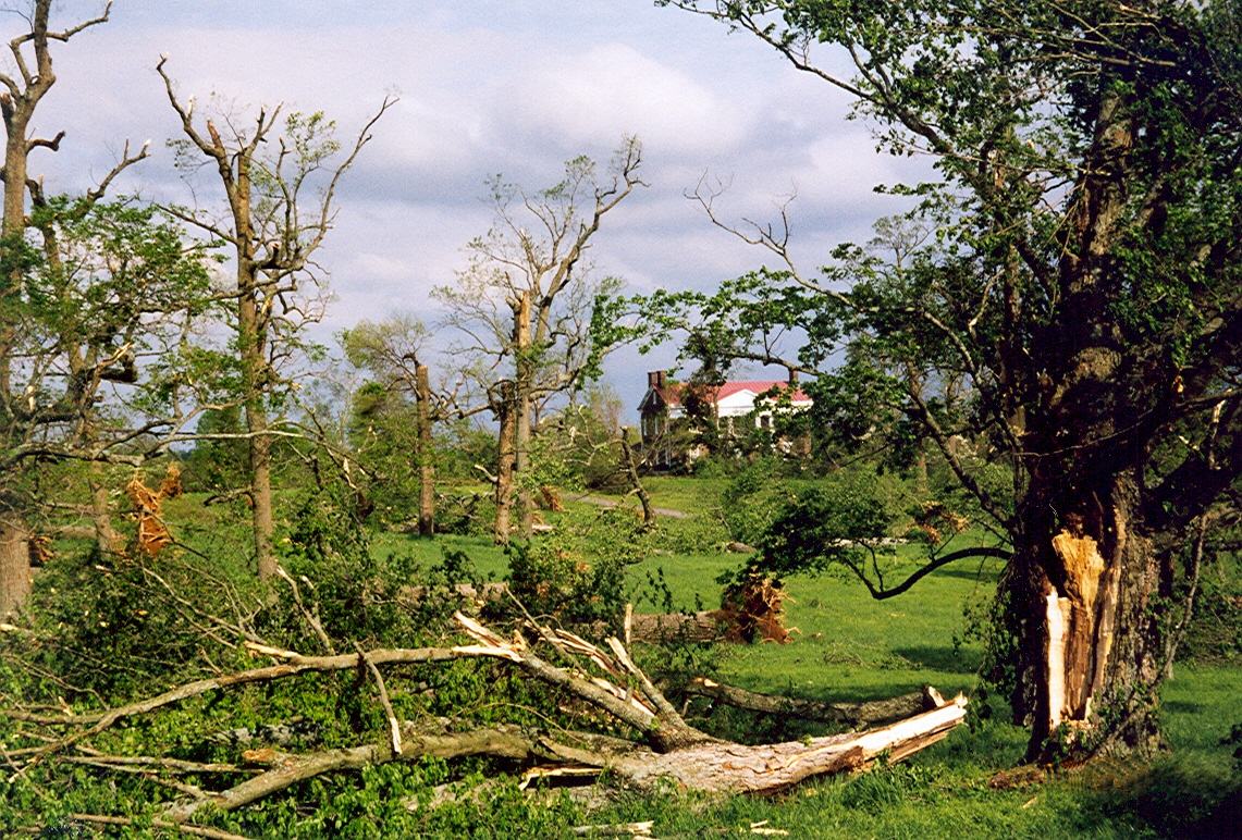 Nashville damage