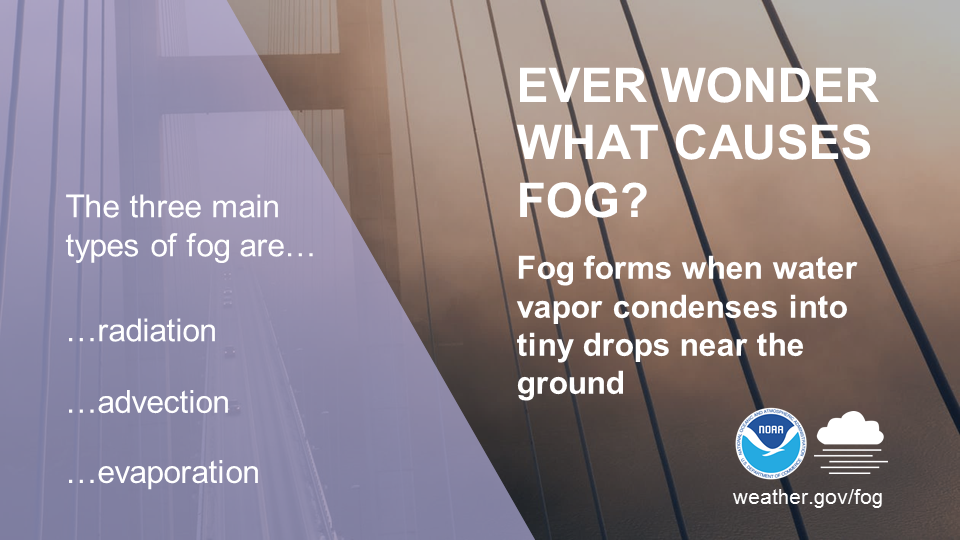 Ever wonder what causes fog? Fog forms when water vapor condenses into tiny drops near the ground. The three main types of fog are radiation, advection, and evaporation.