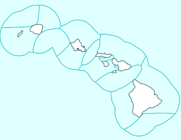 Watches, warnings, advisories and statements issued by the National Weather Service for Hawaii.